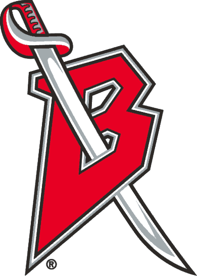 Buffalo Sabres 1996-1999 Alternate Logo t shirts DIY iron ons v3